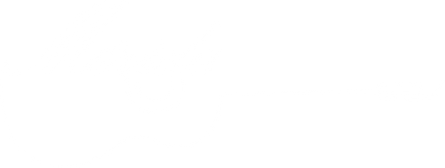Merida Guitars USA